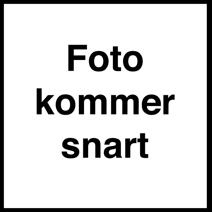 Ivan Rasmussen (IAN)